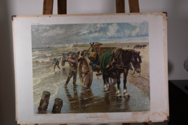 Het schelpenvisschen