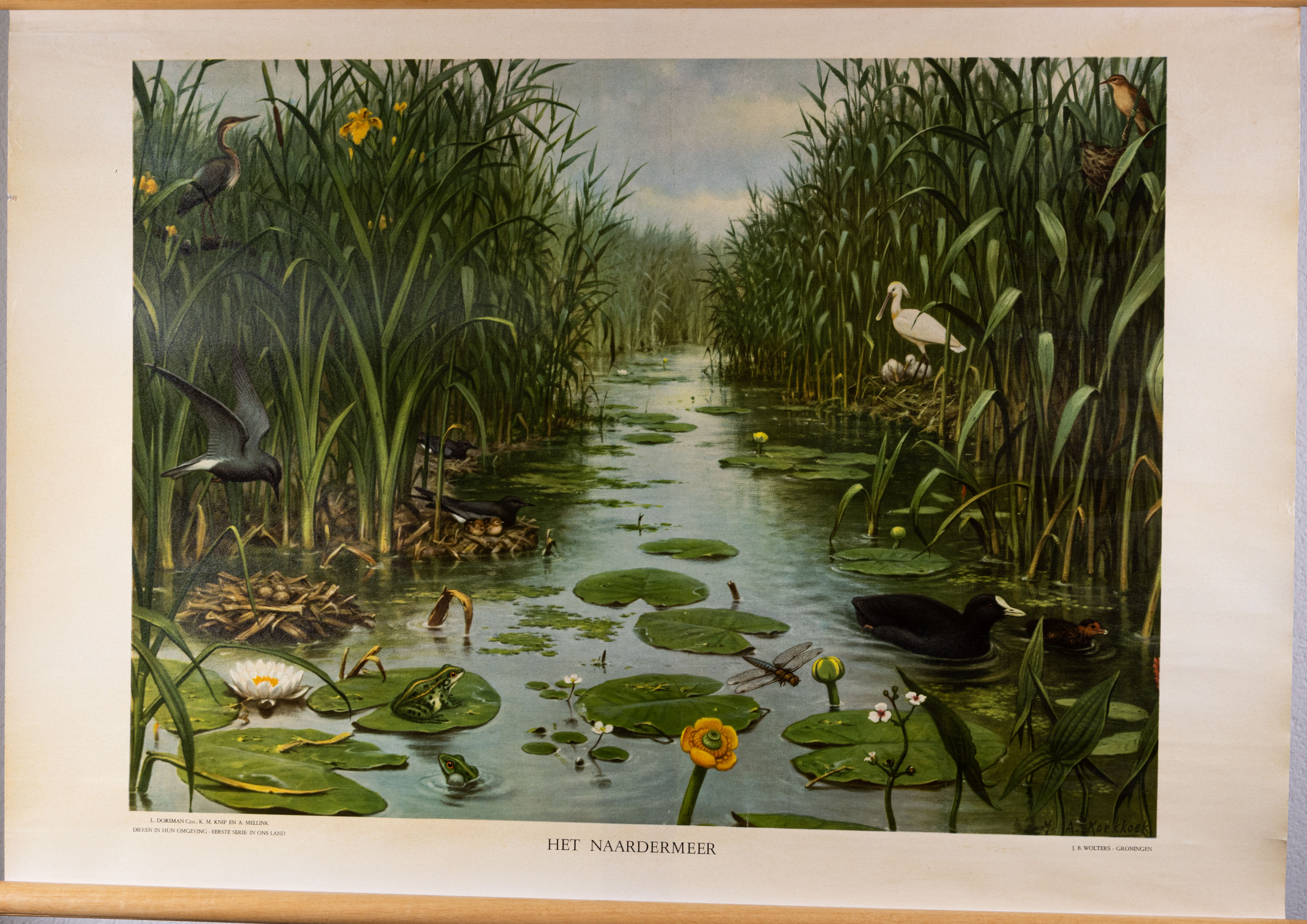 Het Naardermeer