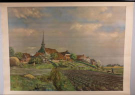 Terp Niehove