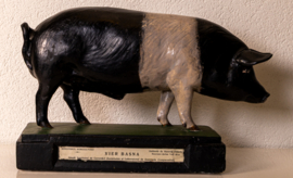 Varken  Britisch Saddleback