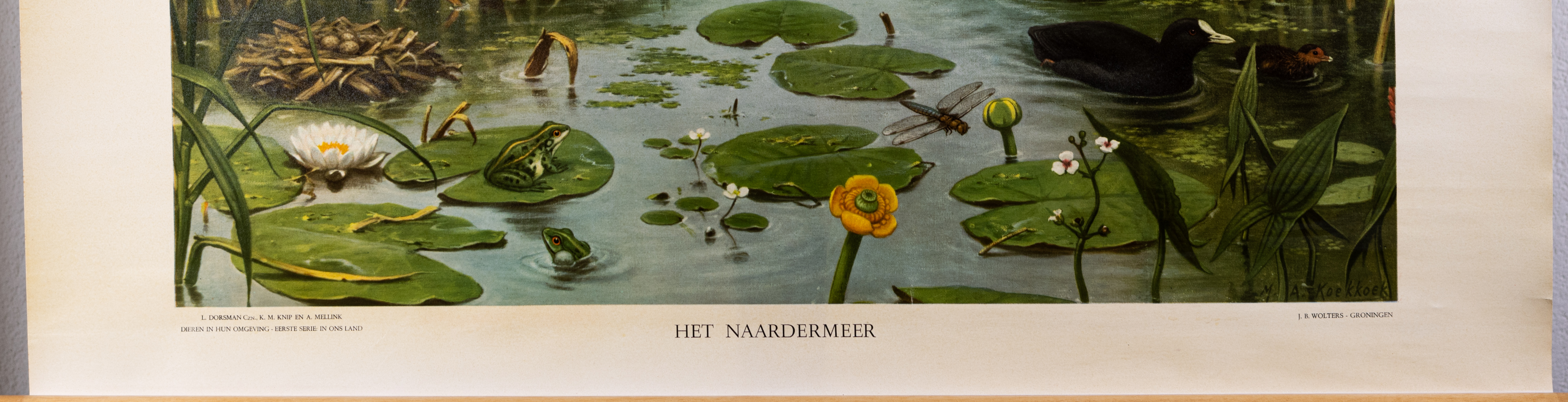 Het Naardermeer
