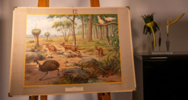 Uit de Australische dierenwereld