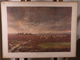 De Drentsche heide