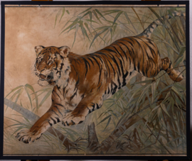 Tijger
