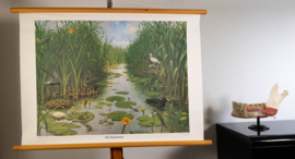 Het Naardermeer