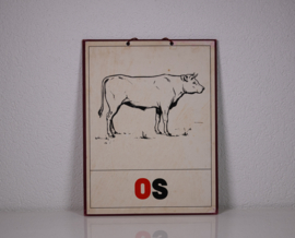 Os