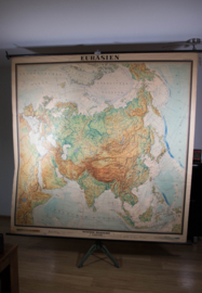 Eurasien   XXL
