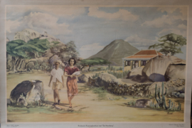 Arubaans Koenoekoehuis met de Hooiberg