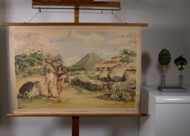 Arubaans Koenoekoehuis met de Hooiberg