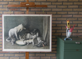 Katten