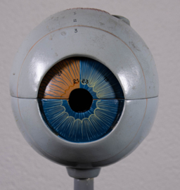 OOG