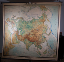 Eurasien   XXL