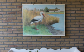 Ooievaar