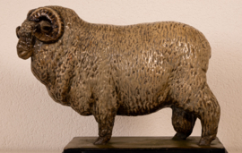 Schaap de Stavropol Merino Ram