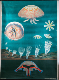 Kwal Litho