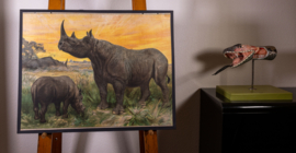 Neushoorn