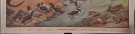 Prehistorie