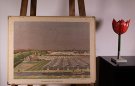 Groenteteelt bij Loosduinen