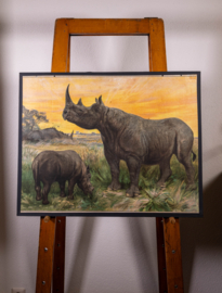 Neushoorn
