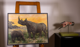 Neushoorn