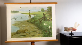 Aan de rivier