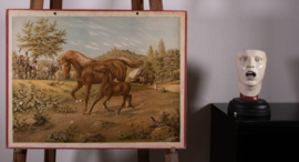 Paard en veulen