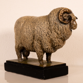 Schaap de Stavropol Merino Ram