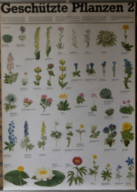 Beschermde Planten