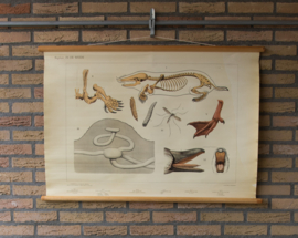 In de weide bijplaat