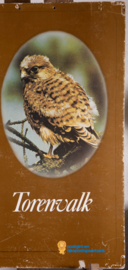 Buizerd Steenuil Torenvalk