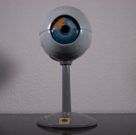 OOG