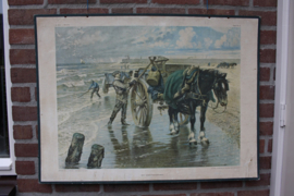 Het schelpenvisschen