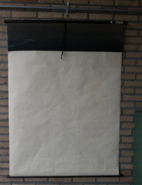Anatomie vogels