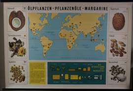 Olierijke planten