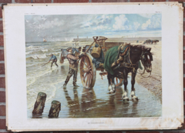 Het schelpenvisschen