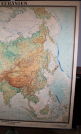 Eurasien   XXL