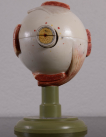 Oog 21 cm