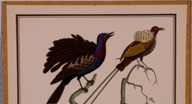 Vogelplaatje 2 Litho