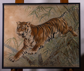 Tijger