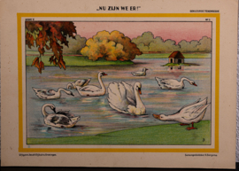 Tekenserie “Nu we er zijn “ nr. 01