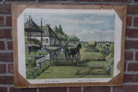 In het hooiland