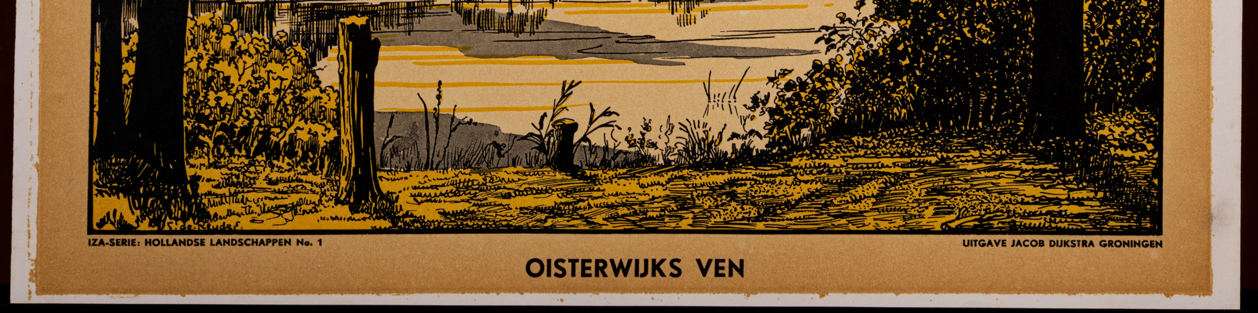 Oisterwijks ven
