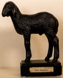 Schaap Lam Karakul .