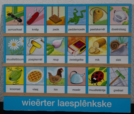 Leesplankje Dialect – Wieerter Laesplenkske versie 1