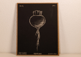 Teekenen voor kinderen 03 – Radijs