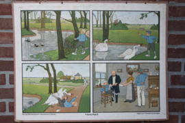 Hans en de zwaan