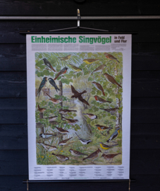 Zangvogels oa Roodborst en Zwaluw