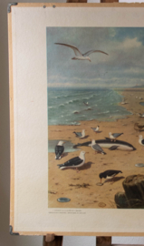 Aan het strand   2