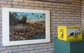 In het gebied vd Boven Nijl