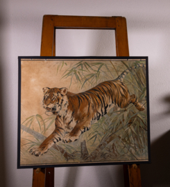 Tijger